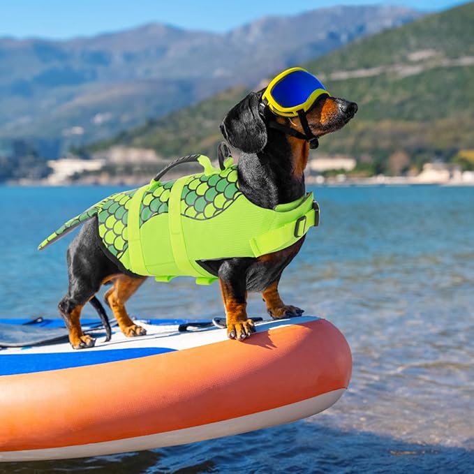 Queenmore Mermaid Dog Life Jacket XL