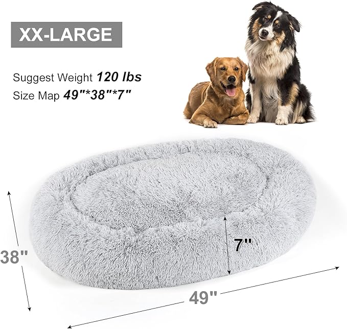 Dog Bed