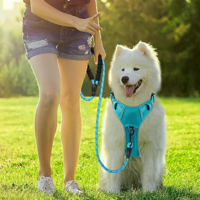 BARKBAY Dog Harness No Pull with ID Tag Pocket - Heavy Duty, Reflective, Easy Control for Large Dogs (Ocean Blue,S)