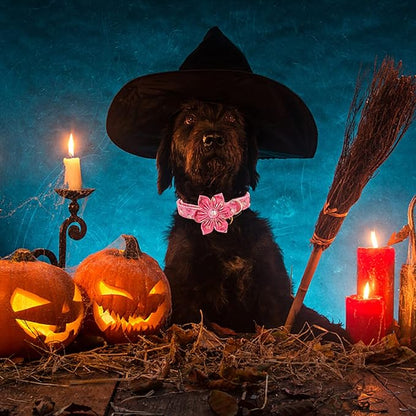 Elegant little tail Dog Collar with Flower