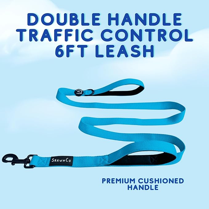 ShawnCo Dream Walk Dog Leash- Premium, Nylon Pet Leash with Soft Neoprene Handle for Small, Medium and Large Dogs (Electric Blue, M/L 6FT w/ 2 Handles)