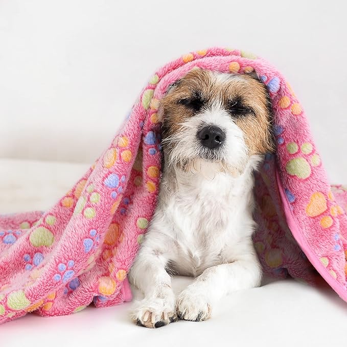 Comsmart Dog Blankets for Dog and Cat 1 Pack 3, 24 32in)