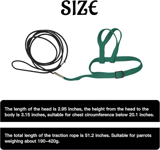 2 pcs Pet Parrot Bird Harness and Leash, Adjustable Training Design Anti-Bite, Outdoor Flying Training Rope Kit for Bird Parrots Fits Birds Chest Between24-51cm /9.45-20inch - M (Green)