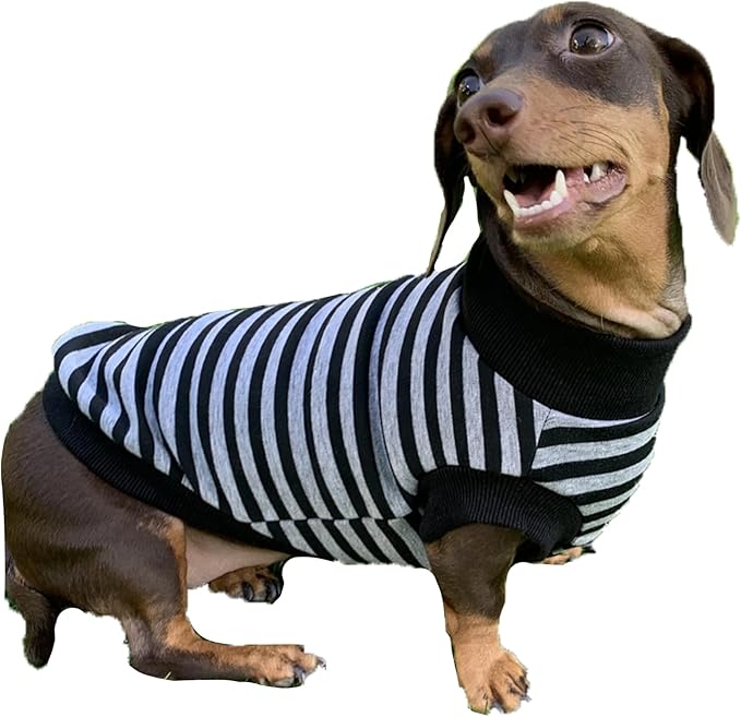 Dachshund Sweater for Dogs Lining Napping Stripe T Shirts (XS