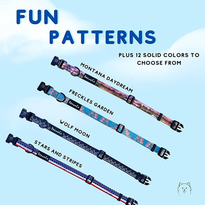 ShawnCo Dream Walk Dog Collar- Premium