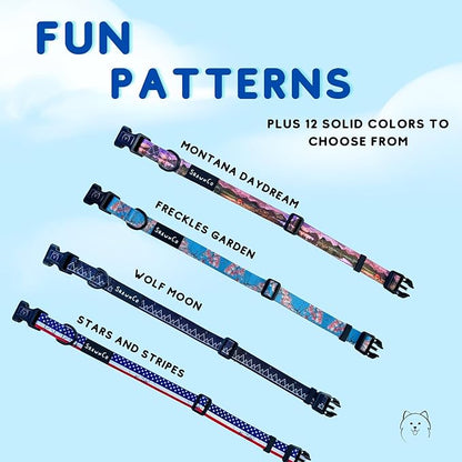 ShawnCo Dream Walk Dog Collar- Premium