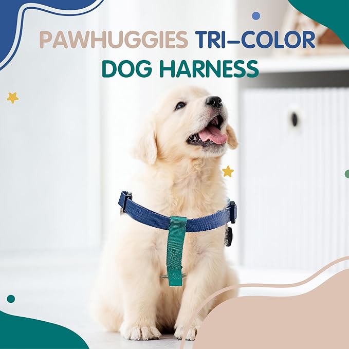 Small Dog Harness 4/5''W x 16-20''