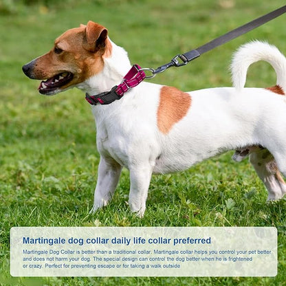 Reflective Martingale Dog Collars. Dog Collar with Quick