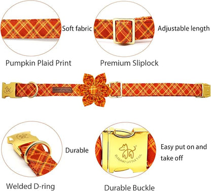 Elegant little tail Fall Dog Collar