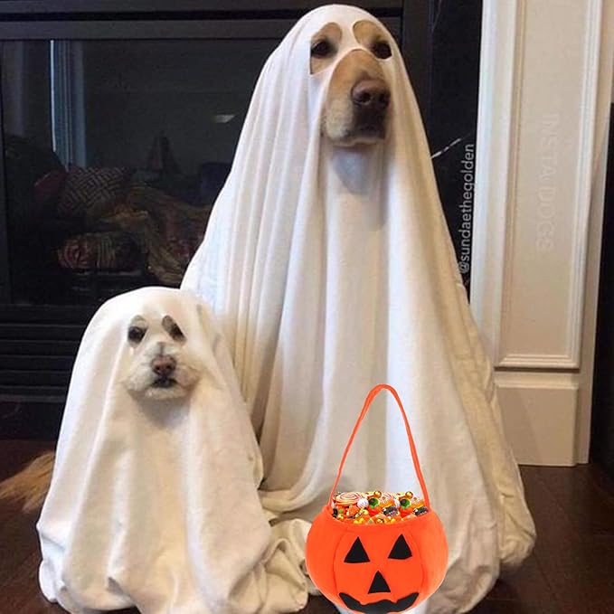 Mity rain Dog Halloween Costumes - Dog Ghost Costume with Felt Pumpkin Trick or Treat Bucket, Small Dog Halloween Costumes (28Pounds), Funny and Cute Dog Costumes Clothes for Halloween Cosplay Party