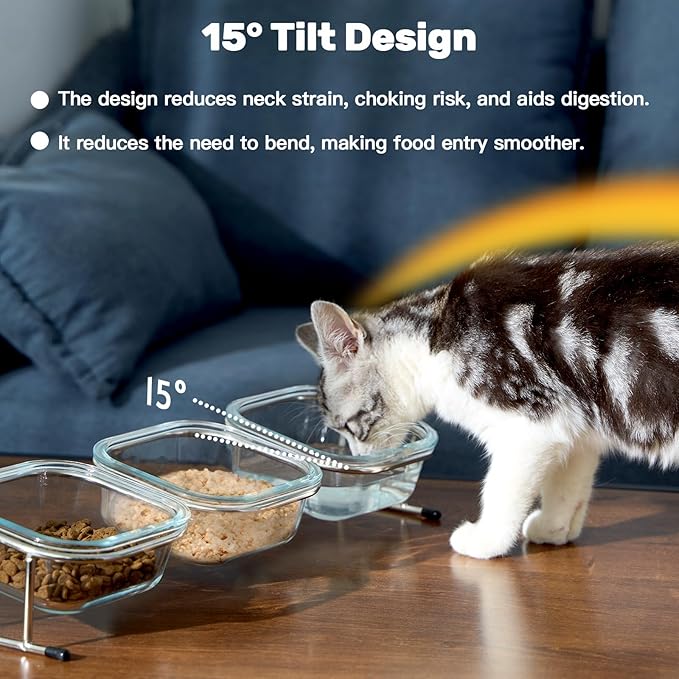 Elevated Cat Bowls, 15° Tilted Glass Raised Cat Food Bowl with Stainless Steel Stand, 3 Glass Cat Bowls and 4 Anti Slip Feet, Suitable for Cats and Little Dogs