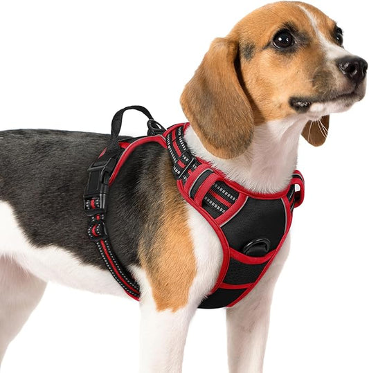 rabbitgoo Dog Harness, No-Pull Pet Harness with 2 Leash Clips, Adjustable Soft Padded Dog Vest, Reflective No-Choke Pet Oxford Vest with Easy Control Handle for Large Dogs, Black & Red, M