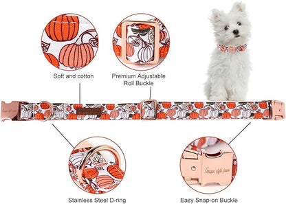 Unique style paws Dog Collar Metal Buckle Collar