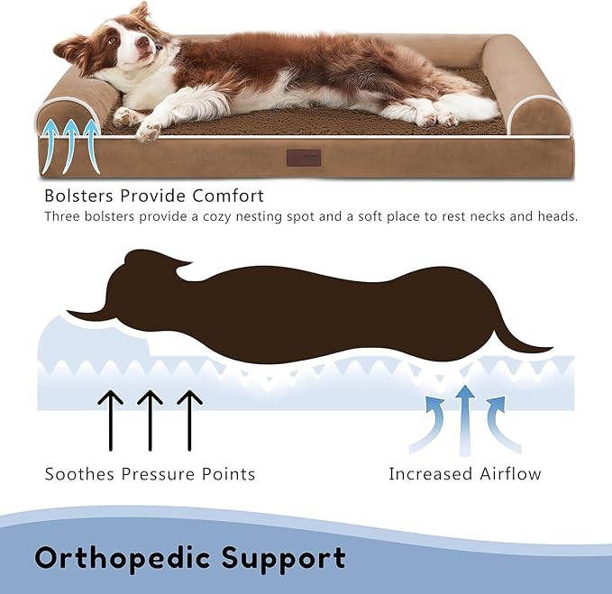 Orthopedic Dog Beds for Large Dogs