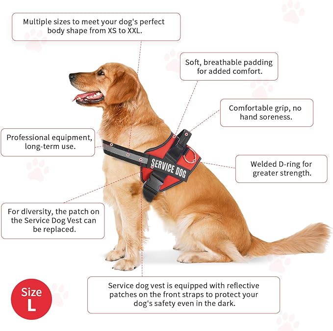 Service Dog Vest, Service Dog Tag and 50 ADA Information Cards,Service Dog Harness in Sizes X Small to XX Large, Ruggedized Metal Tag, Service Animal Information Cards, ESA Accessory Set (Large)