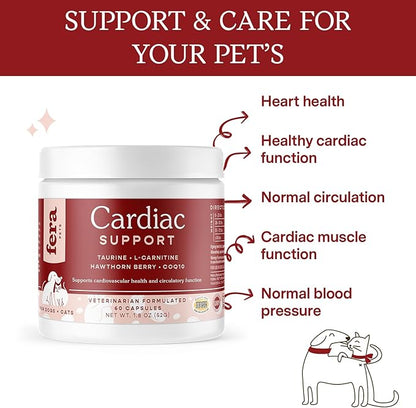 Fera Pets Cardiac Supplement for Dogs & Cats – 60 Capsules – Vet Created -Cardiovascular Function & Strength-Taurine, CoQ10, Organic Hawthorne Berry