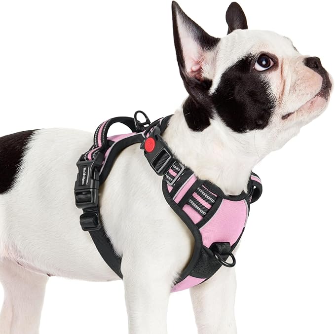 rabbitgoo Dog Harness Small Sized, No Pull Pet Harness with 3 Buckles, Adjustable Soft Padded Dog Vest with Instant Control Handle, Easy Walking Reflective Pet Vest for Small Dogs, Pink, S