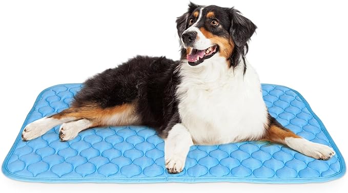 Dog Cooling Mat for Dogs Non-Toxic Self Cooling 39x27in
