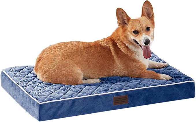 SunStyle Home Orthopedic Dog Beds for Medium Dogs