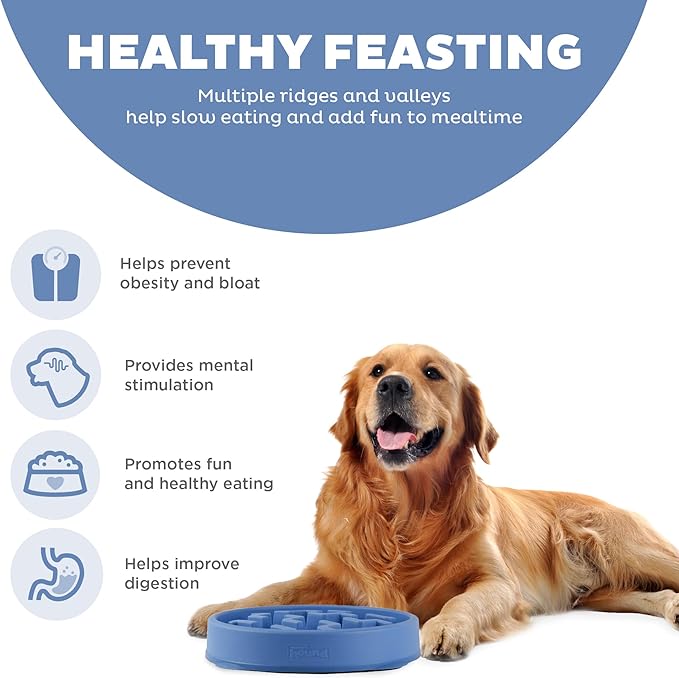 Outward Hound Fun Feeder Slo Bowl, Slow Feeder Dog Bowl, Large/Regular, Blue