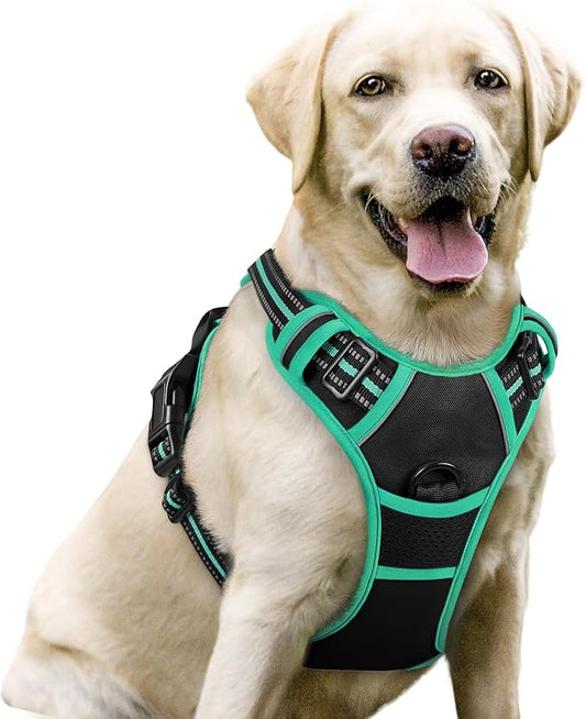 rabbitgoo Dog Harness, No-Pull Pet Harness with 2 Leash Clips, Adjustable Soft Padded Dog Vest, Reflective No-Choke Pet Oxford Vest with Easy Control Handle for Large Dogs, Black & Turquoise, L