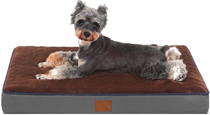 Bedfolks 3" Thick Orthopedic Dog Bed for Medium Dogs