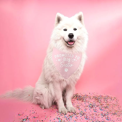 Promoted to Big Sister Dog Bandana Pregnancy Announcement
