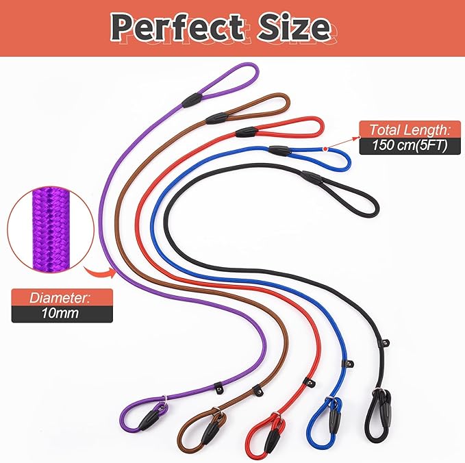 11pcs Slip Lead Dog Leash Dogs（11 Colors）