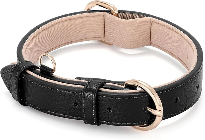 WHIPPY Soft Padded Leather Dog Collar for Small Medium Large Dogs Heavy Duty Dog Collar with Adjustable Rust-Proof Metal Hardware