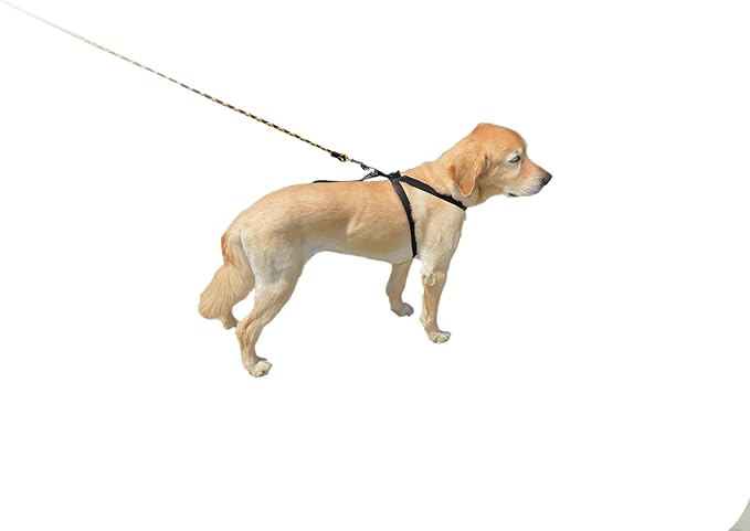 Downtown Pet Supply 10 to 25 lbs