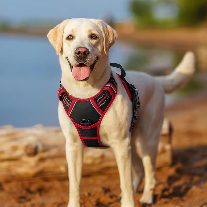 rabbitgoo Dog Harness, No-Pull Pet Harness with 2 Leash Clips, Adjustable Soft Padded Dog Vest, Reflective No-Choke Pet Oxford Vest with Easy Control Handle for Large Dogs, Black & Red, L