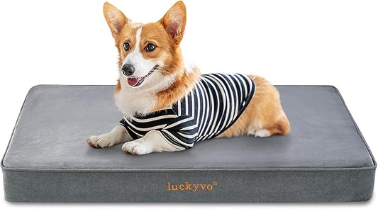 Medium Dog Bed for Medium Dogs Bed(29x18x3 inch,Grey)