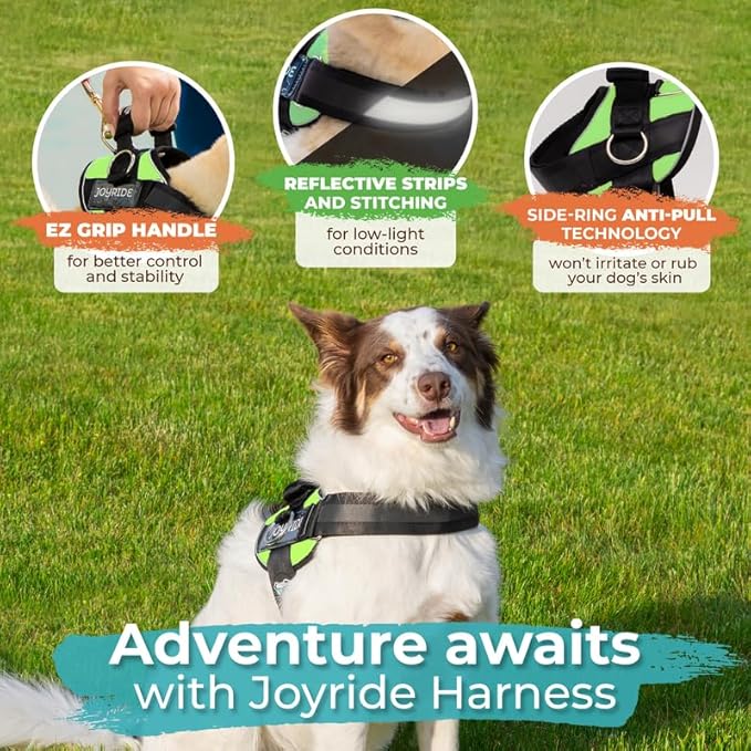 Joyride Harness 2.0 - The Original Side Ring No Pull Dog Harness - No Choke, Escape Proof, Reflective, 3 Leash Clips, Quick Fit Pet Vest - Easy Walks & Training - for Small, Medium & Large Dogs