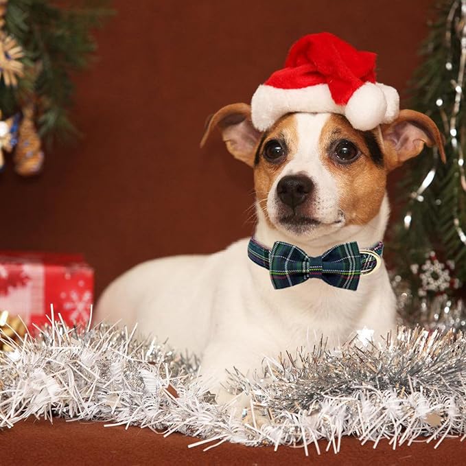 Christmas Day Dog Collar with Bow Red Green