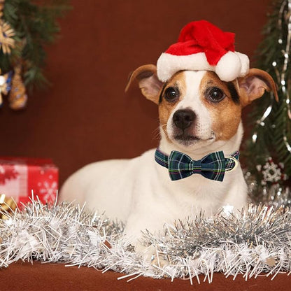 Christmas Day Dog Collar with Bow Red Green