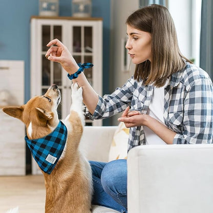 E-Clover Dog Bandanas & Matching Scrunchie Boy Dog