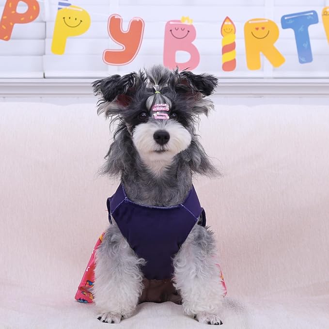 CuteBone Birthday Dog Dresses Velvet Holiday Small Dogs Clothes Onesie Pet Apparel Girl Puppy Skirt with Bow Hair Rope CVA51S-D