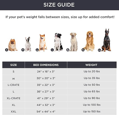 Bedsure Medium Patterned Dog Bed for Medium Dogs Cover(30"x20", Cream)