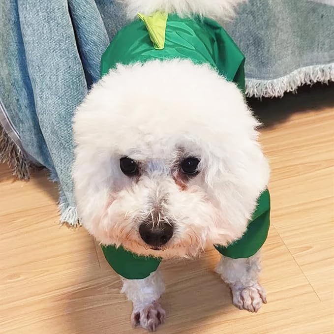 Dog Raincoat