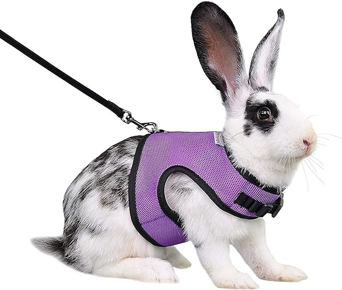 Niteangel Adjustable Soft Harness with Elastic Leash for Rabbits (M, Purple)