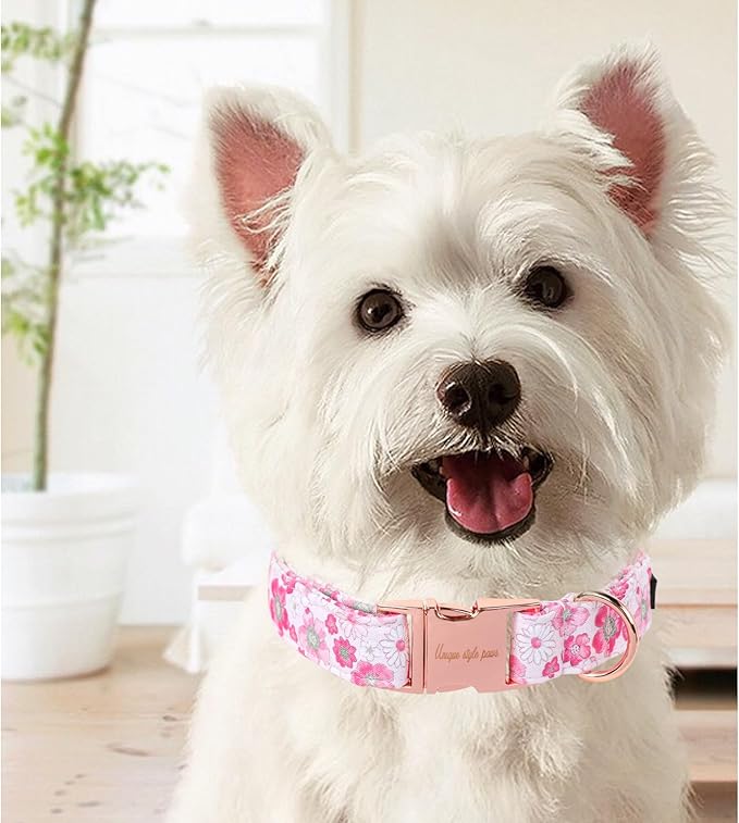 Unique Style Paws Summer Dog Collar