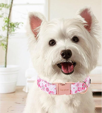 Unique Style Paws Summer Dog Collar
