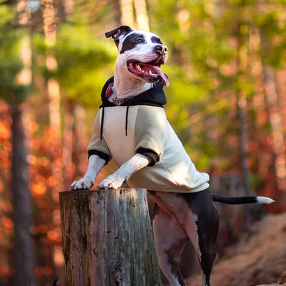 Spark Paws Dog Hoodie 2XL