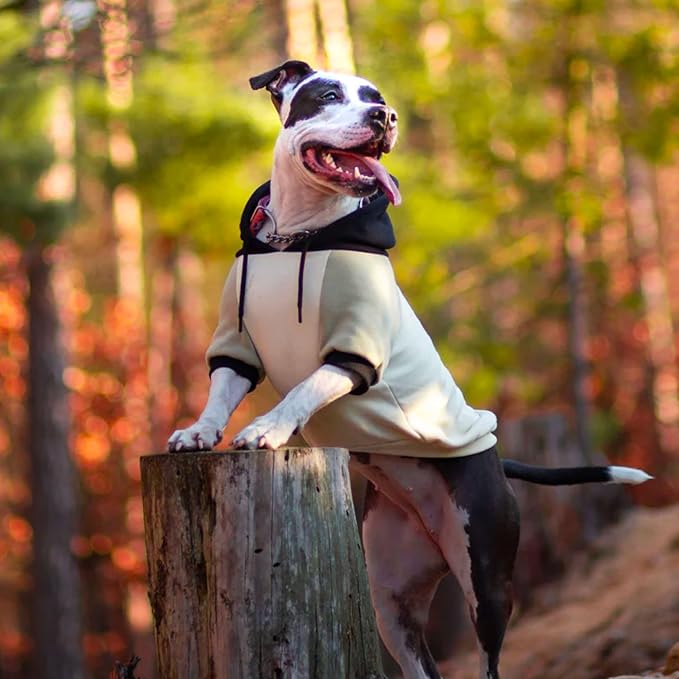 Spark Paws Dog Hoodie