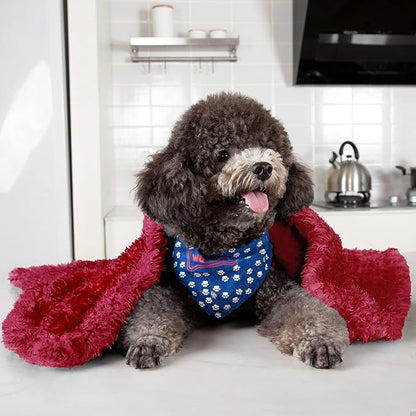 MACEVIA Fluffy Fleece Dog Blankets (24x29 Inch,