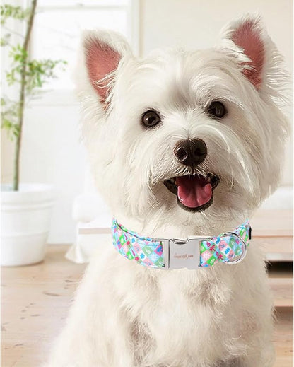 Unique Style Paws Summer Dog Collar