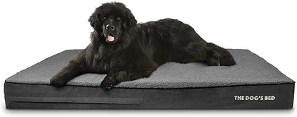 The Dog’s Bed Orthopedic Jumbo Memory Foam Dog Bed 64x44, Pain