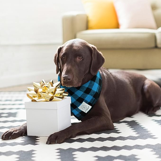 E-Clover Dog Bandanas & Matching Scrunchie Boy Dog