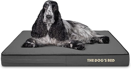 The Dog’s Bed Orthopedic Memory Foam Dog Bed 34x22, Pain