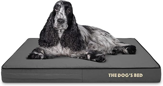 The Dog’s Bed Orthopedic Memory Foam Dog Bed 34x22, Pain